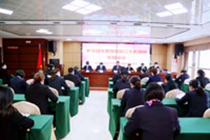 燕興集團黨委召開學習宣傳貫徹學習黨的二十大精神專題會議